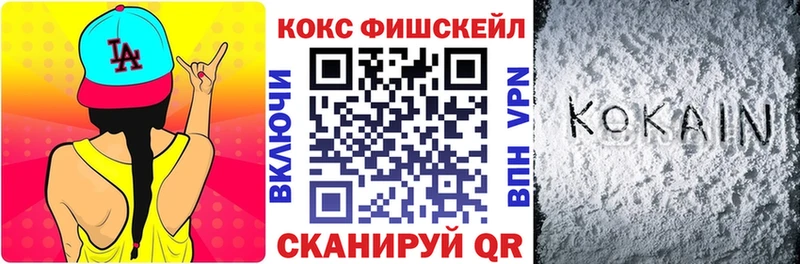 COCAIN Fish Scale  Купить где  Канск 