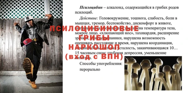 гидра Ростов