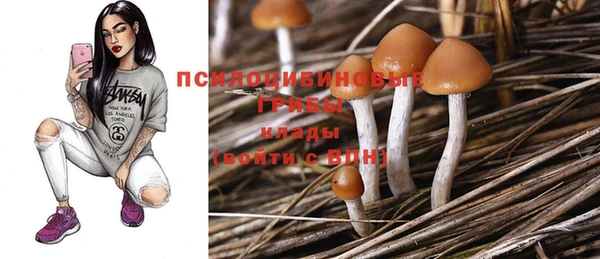 дживик Сафоново