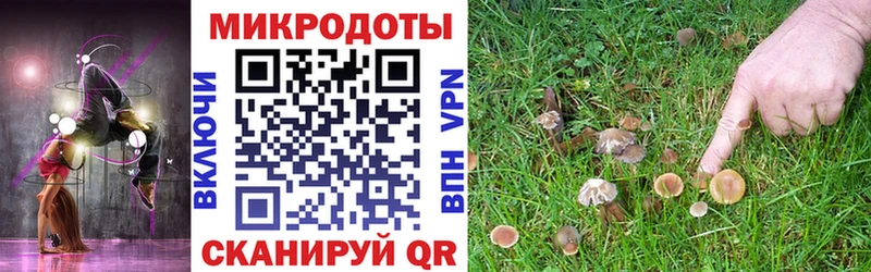 Псилоцибиновые грибы Cubensis  Купить где  Канск 